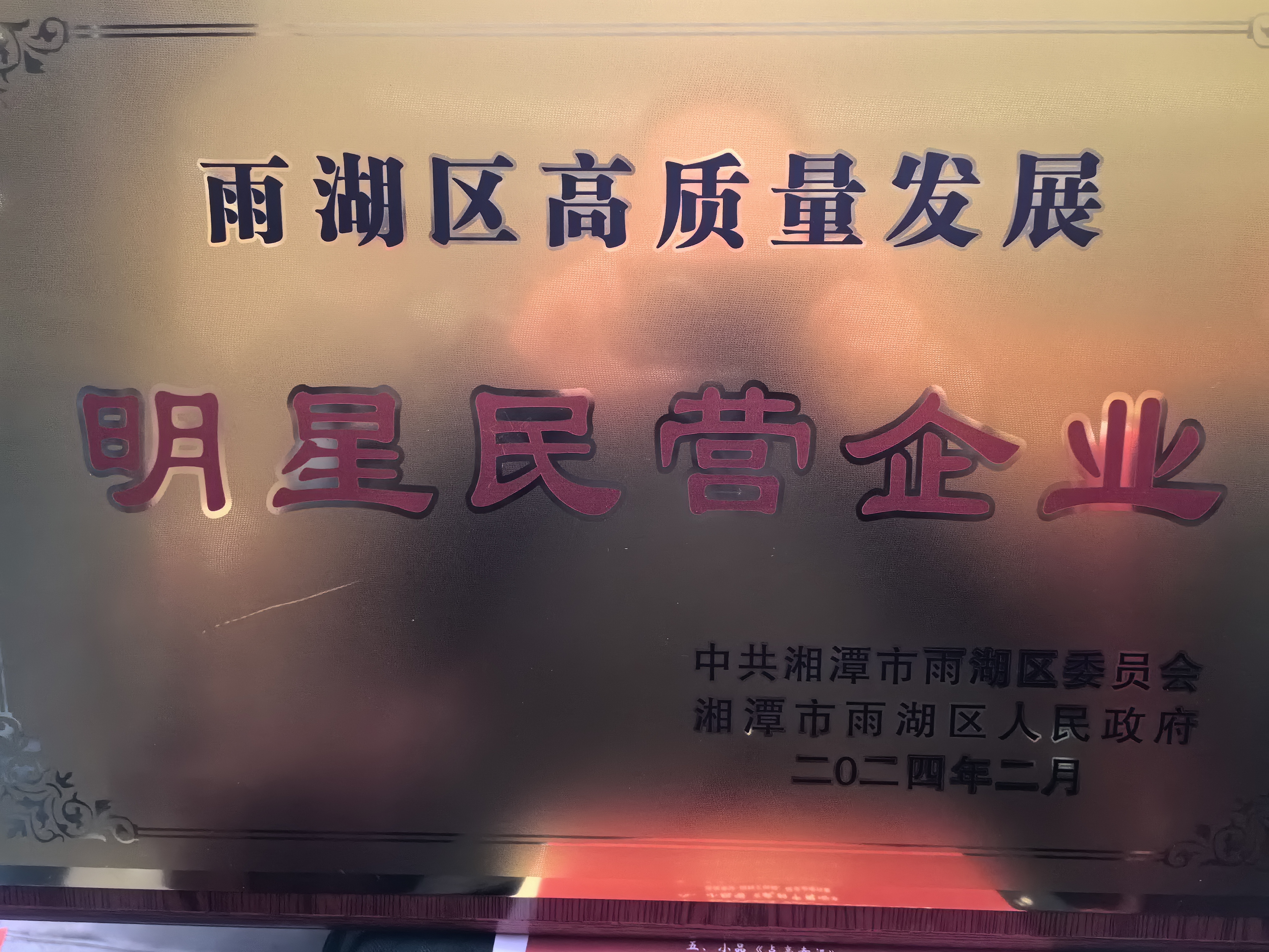 ng28荣获“雨湖区高质量发展明星民营企业”称号